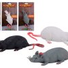 Animal World rat stretch 3 assorti