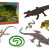 Animal World reptielen assortiment in doos