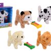 Wandelende puppy 4 assorti