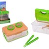 Science Explorer Insecten bakje met 2 accesoires