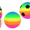Regenboog bal maat 3 - 2 stuks in net