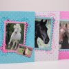 Ringband Paarden  A4 2 rings assorti