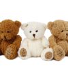 Take Me Home pluche beer 18cm assorti