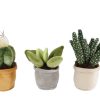 Take Me Home plant pluche S 3ass 12-17cm