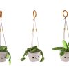 Take Me Home hang plant pluche L 24cm 3 assorti