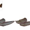 Sculptuur Butterfly L blauw/groen a2 aardew 18x17x3,5cm