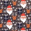 Apparaatrol Kerst Slaap kerstman 150mx30