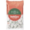 Bolsius theelicht 6 uur zak 60 stuks 16/38 wit