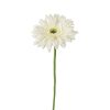 Countryfield Kunstbloem Gerbera Leanne wit 8x8x63cm