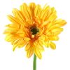 Countryfield Kunstbloem Gerbera Leanne geel 64cm