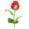 Countryfield Kunstbloem Rosa rood 52cm