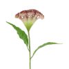 Countryfield Kunstbloem Celosia l.paars 62cm