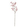 Countryfield Kunstbloem Rosa canina S rood 60cm