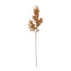 Countryfield Kunstbloem Asparagus S oranje 73cm