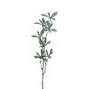 Countryfield Kunstbloem Pachira groen 80cm