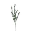 Countryfield Kunstbloem Eucalipthus L groen 105cm