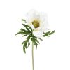 Countryfield Kunstbloem Anemone L wit 8x6x52cm