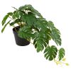 Countryfield Kunstplant hang Monstera groen 23x25x28cm