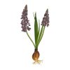 Countryfield Kunstbloem Muscari blauw 22x5x22cm