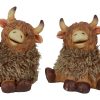 Countryfield Schotse hooglander Temmi L 12x7,5x12cm - ass.