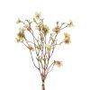 Countryfield Bundel Helleborus S 7x30x56cm - groen