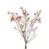 Countryfield Bundel Helleborus S 7x30x56cm - roze