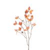 Countryfield Blad Betula 25x8x78cm - oranje