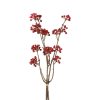 Countryfield Bundel Hedera helix L 15x6x61cm - rood