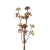 Countryfield Bundel Hedera helix L 15x6x61cm - bruin/groen