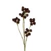 Countryfield Vrucht Rubus 7x12x73cm - paars