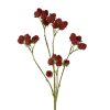 Countryfield Vrucht Rubus 7x12x73cm - rood