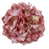 Countryfield Bloem Hydrangea Grandy S 10x10x10cm - mauve