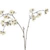 Countryfield Bloem Prunus serrulata S 14x14x64cm - crème