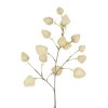 Countryfield Bloem Physalis 16x16x82cm - beige