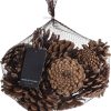 Dennenappel set 300 gram - Bruin