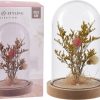 Droogbloem in stolp 140x205mm assorti