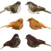 Deco Vogel 3.5x9x4cm assorti
